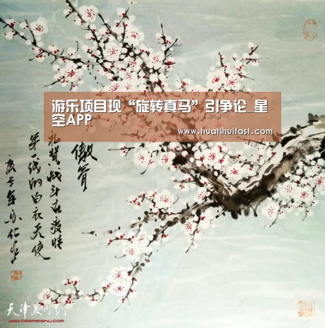 游乐项目现“旋转真马”引争论_星空APP(图1) 星空频道