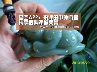 星空APP