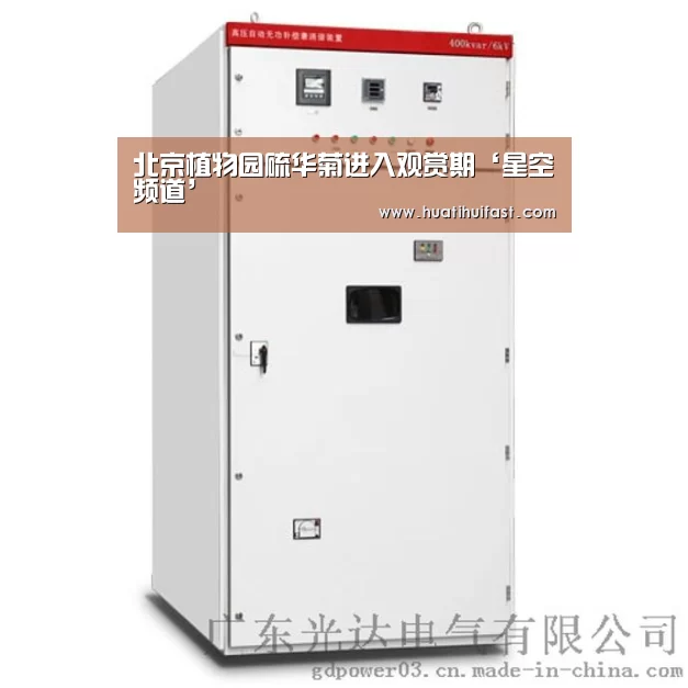 北京植物园硫华菊进入观赏期‘星空频道’(图1) 星空官方