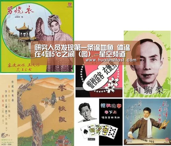 研究人员发现第一条温血鱼 体温在4到5℃之间(图)-星空频道(图1) 星空赛事